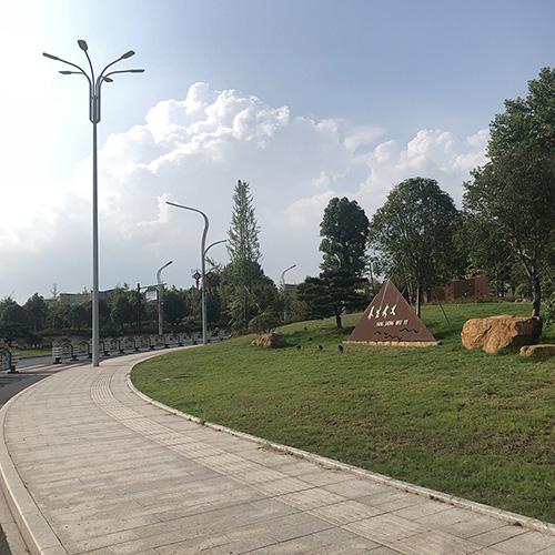 國內案例（lì）